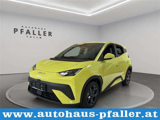 BYD Dolphin - � 22480