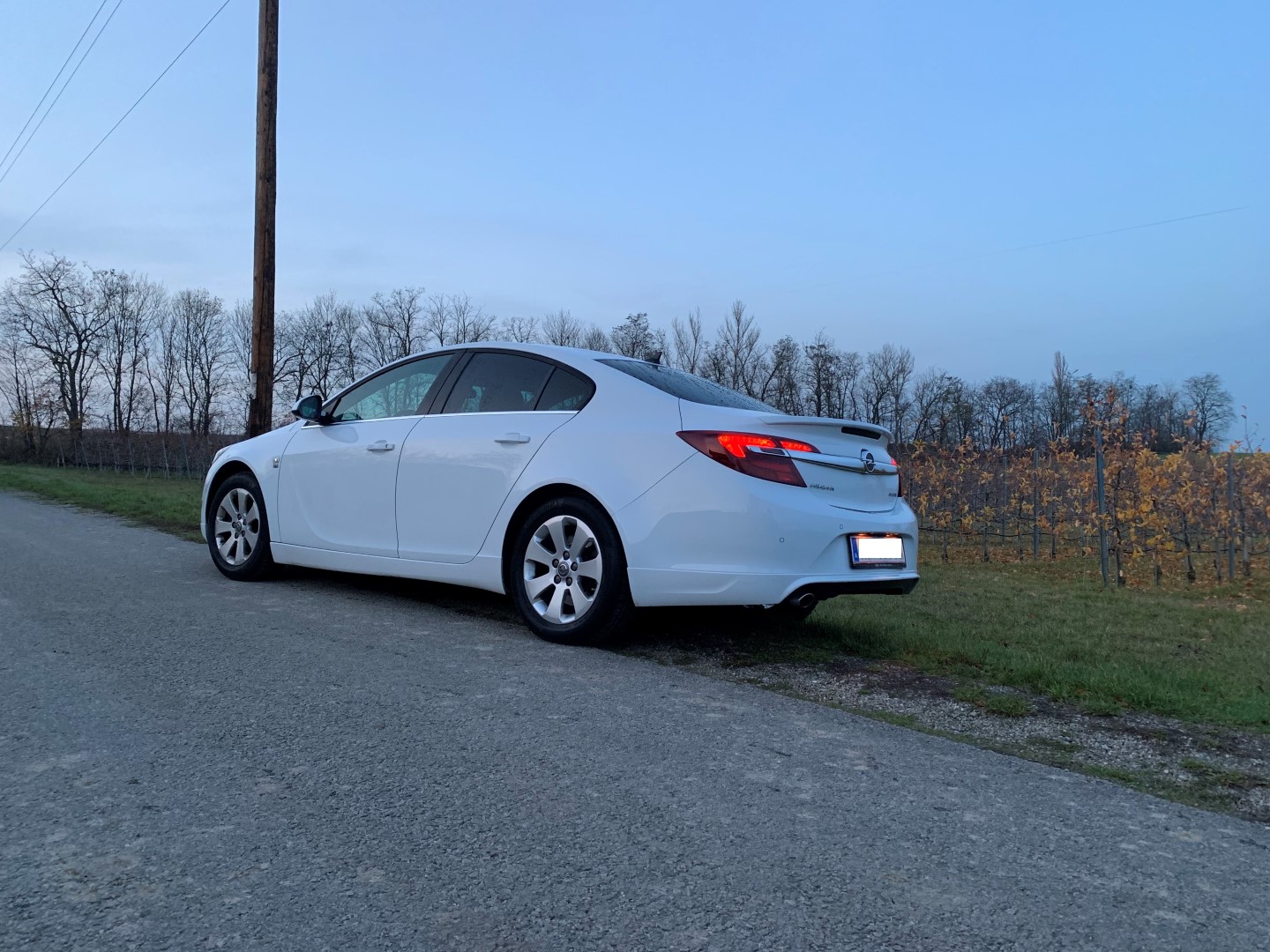 Opel Insignia - € 11900
